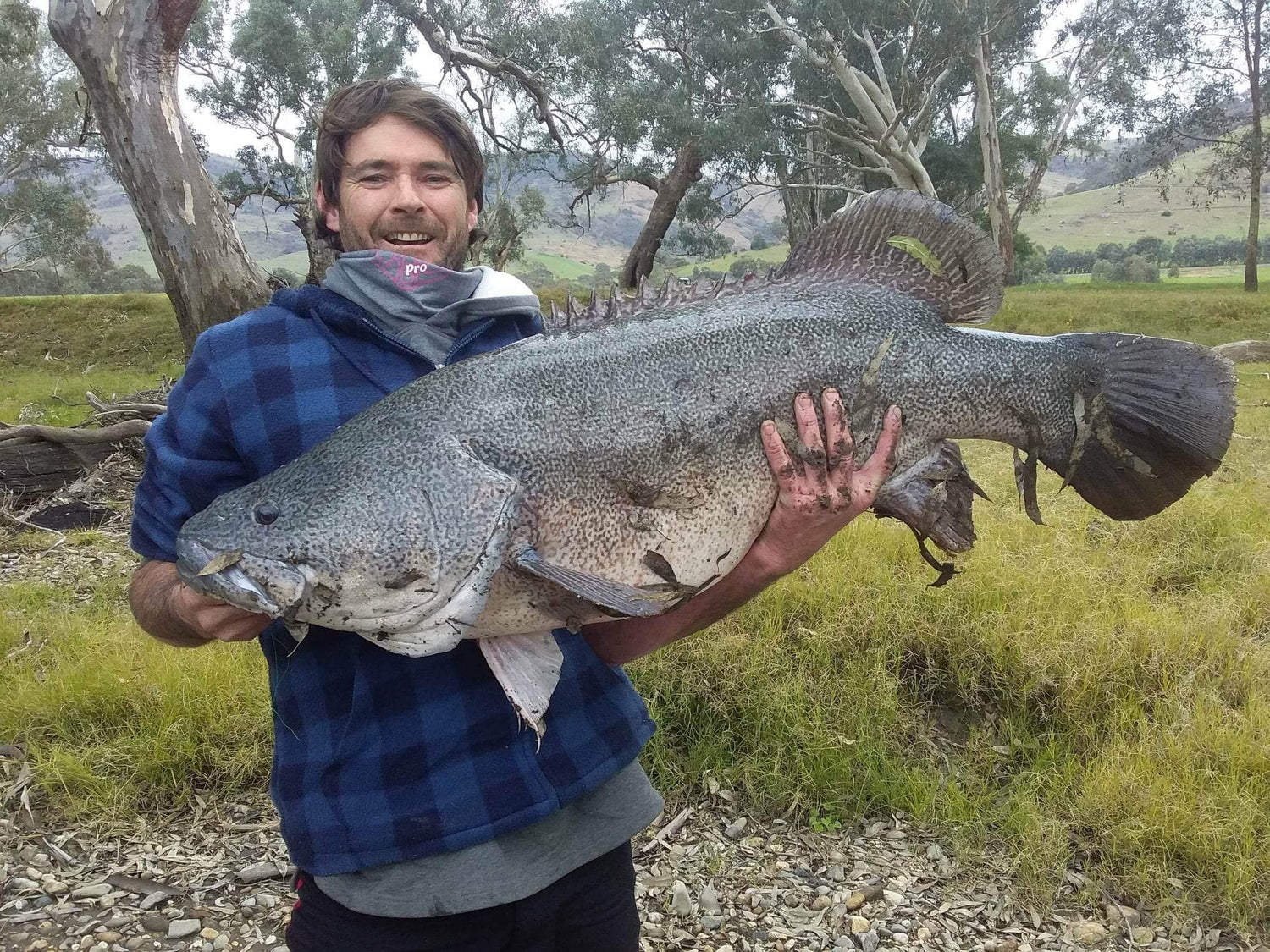 Murray Cod Fising