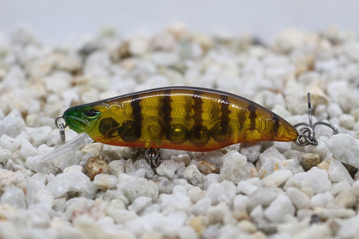 Dart divers 64mm Trout & Redfin Lures Cod Pro Shop