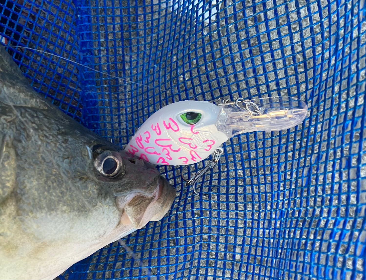 Deep Diving Cranbaits