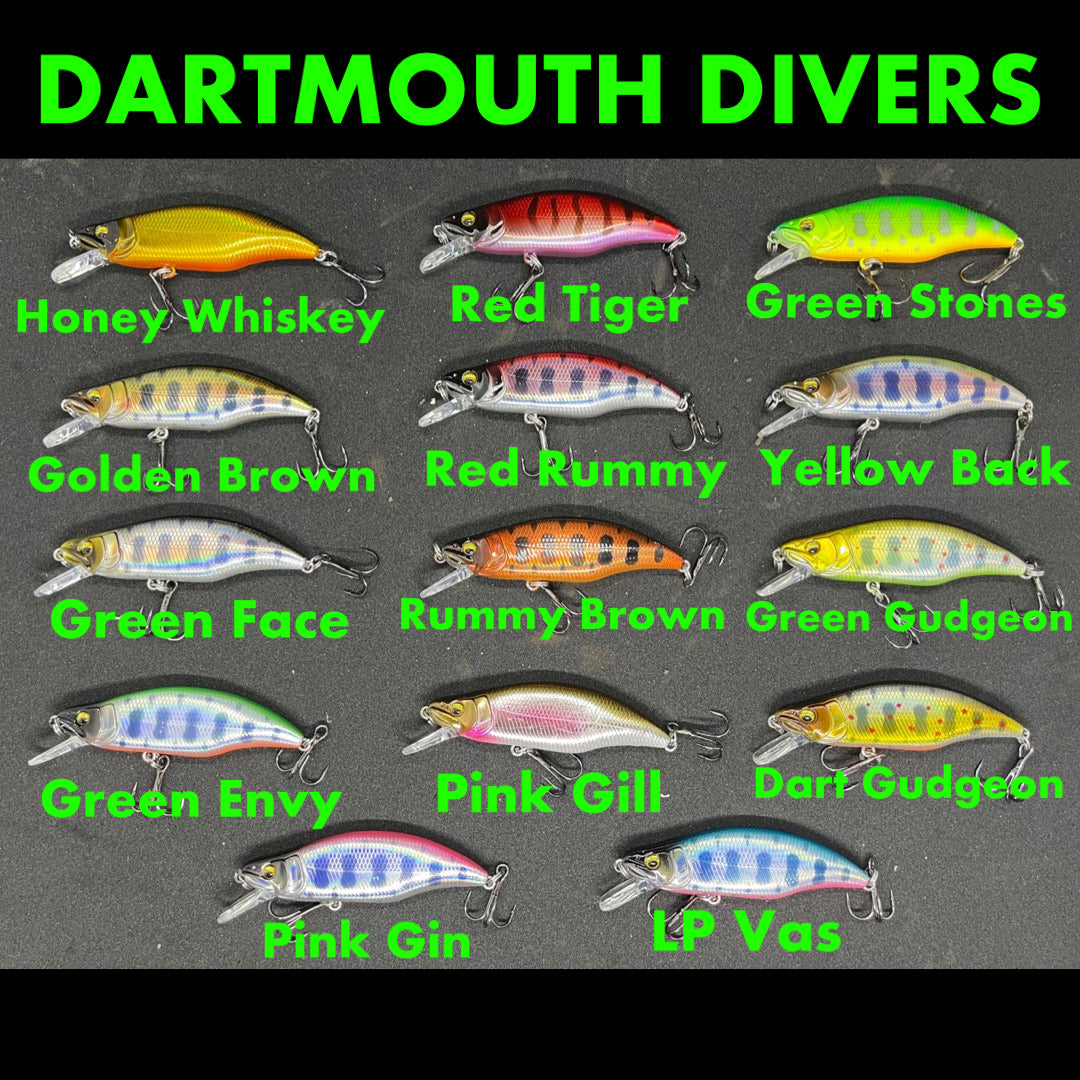 Dartmouth divers 51mm