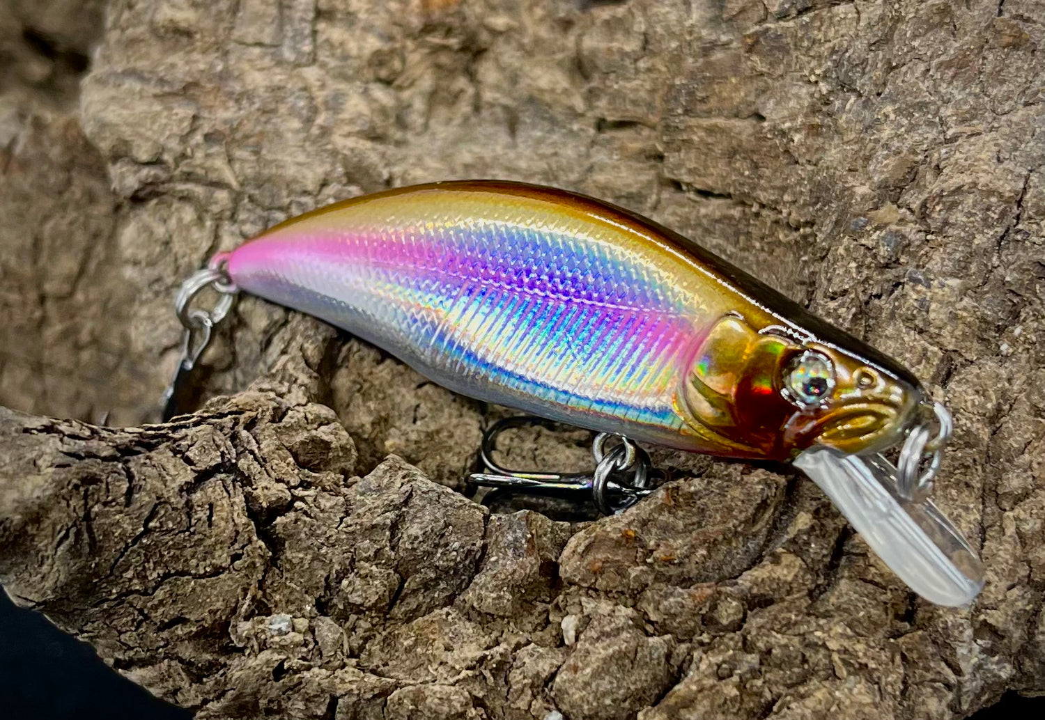 Dartmouth Divers 51mm trout fishing