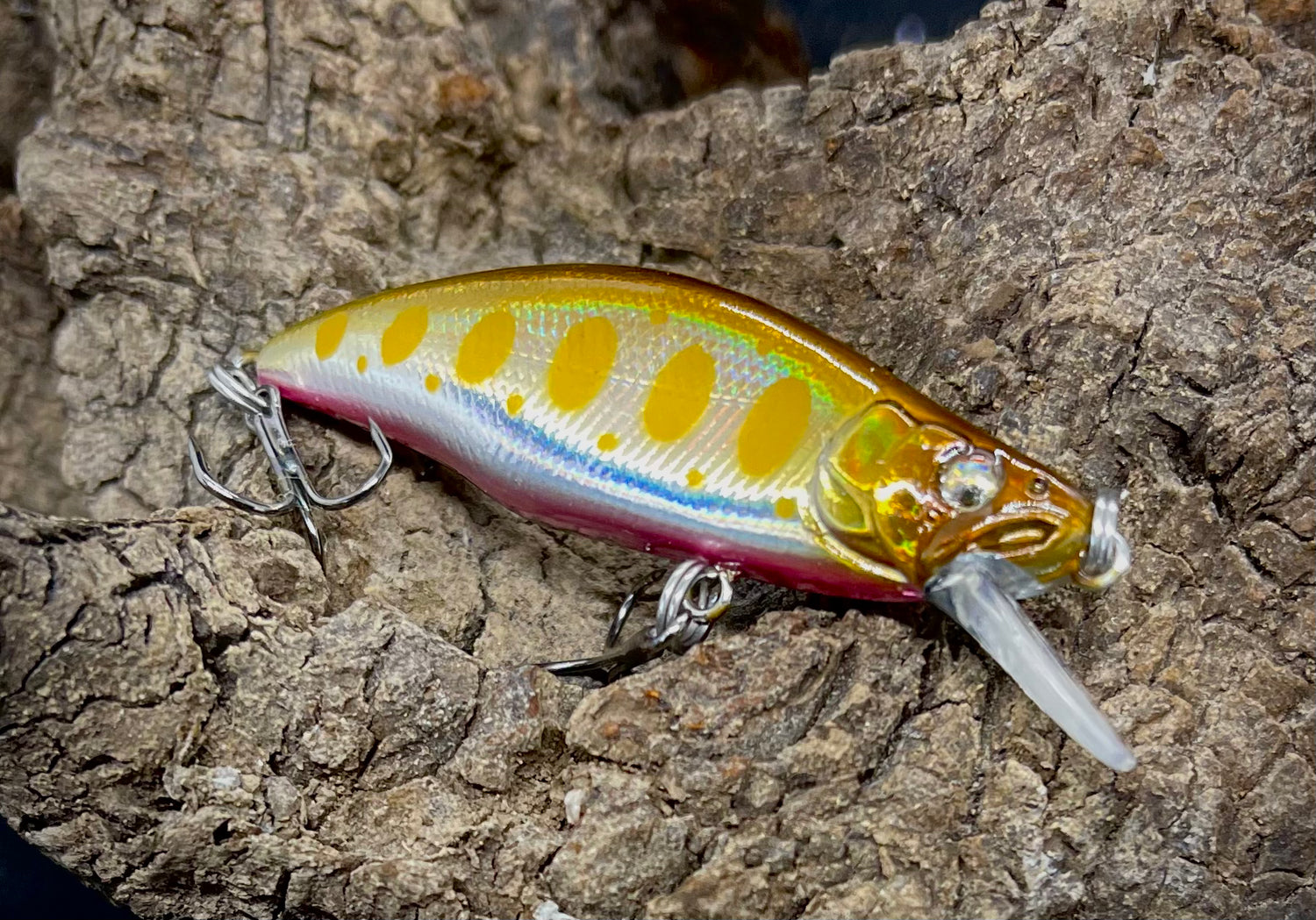 Dartmouth Divers 51mm trout fishing