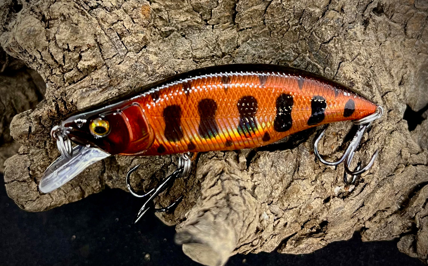 Dartmouth Divers 64mm