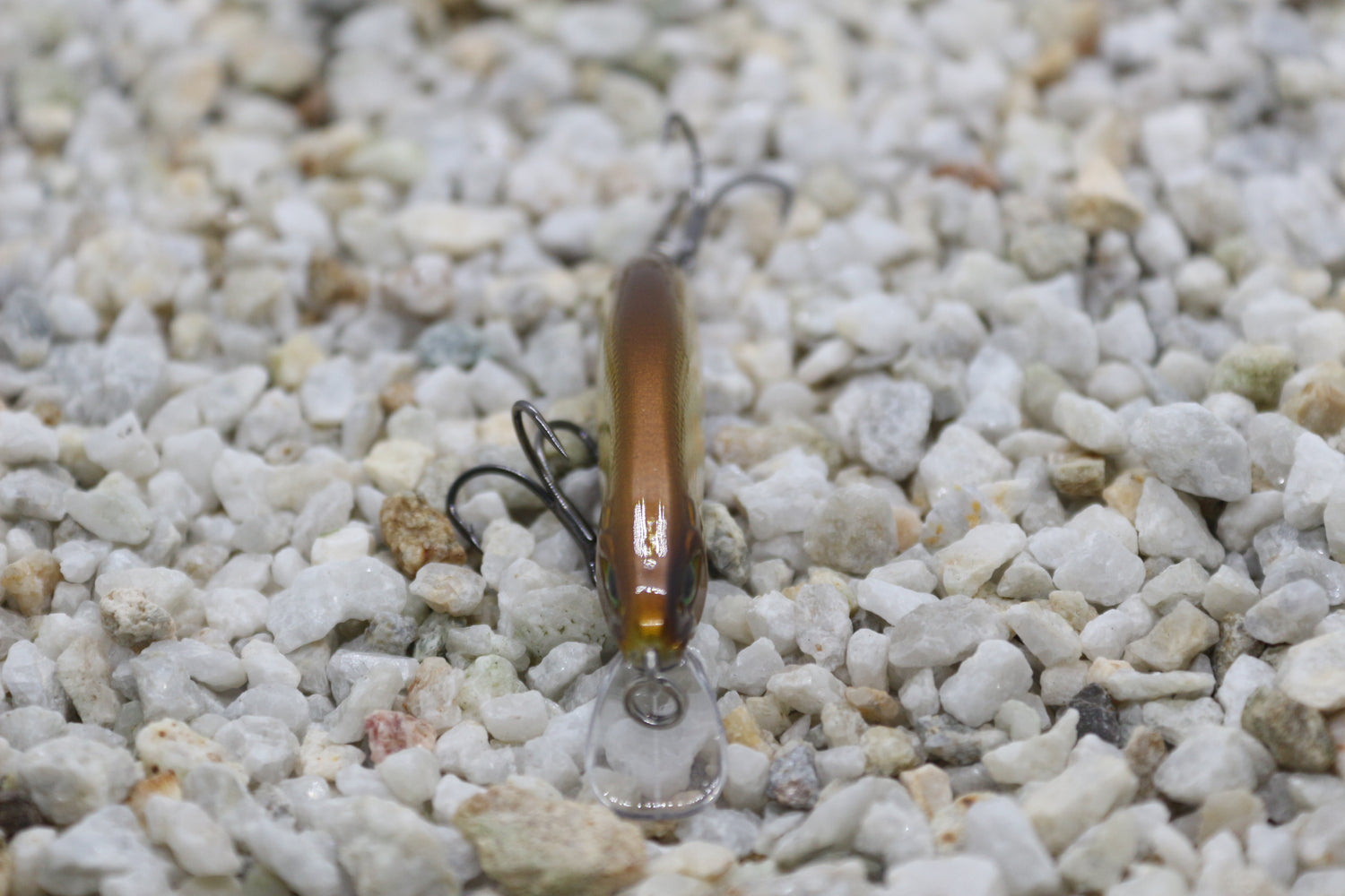 Dartmouth Diver 64mm Pondage Gold