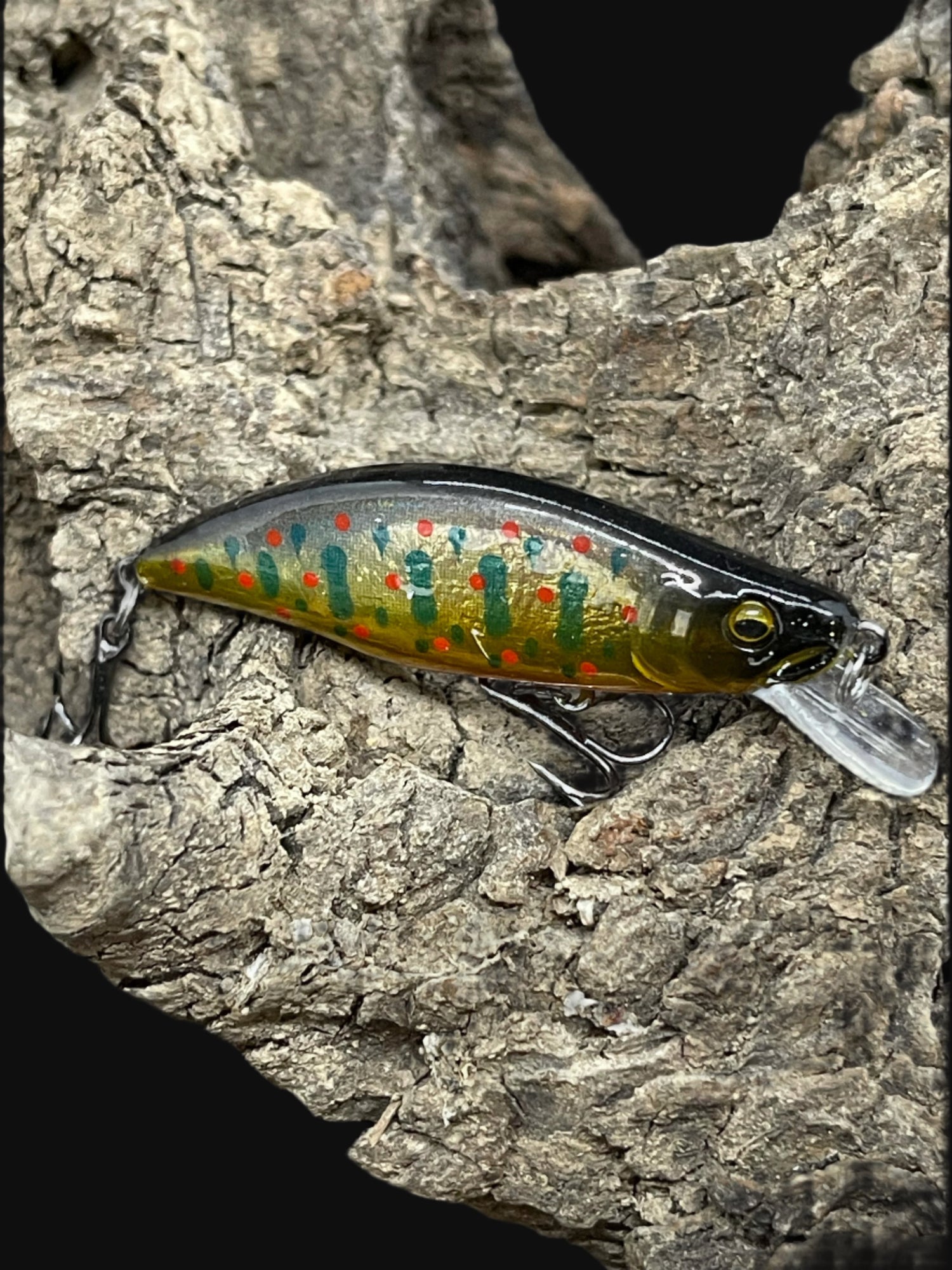 Dartmouth Divers 51mm trout fishing