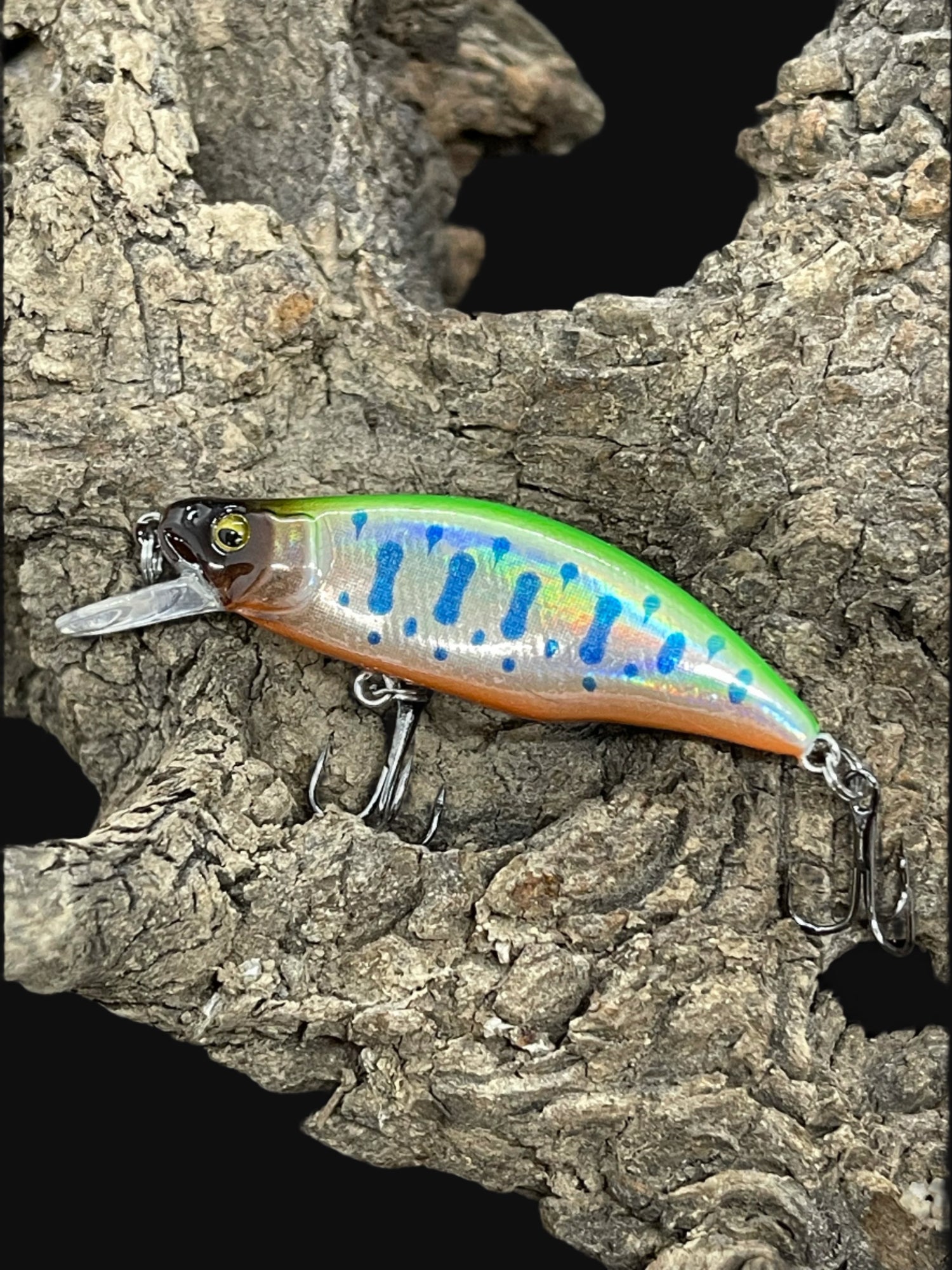 Dartmouth Divers 51mm trout fishing