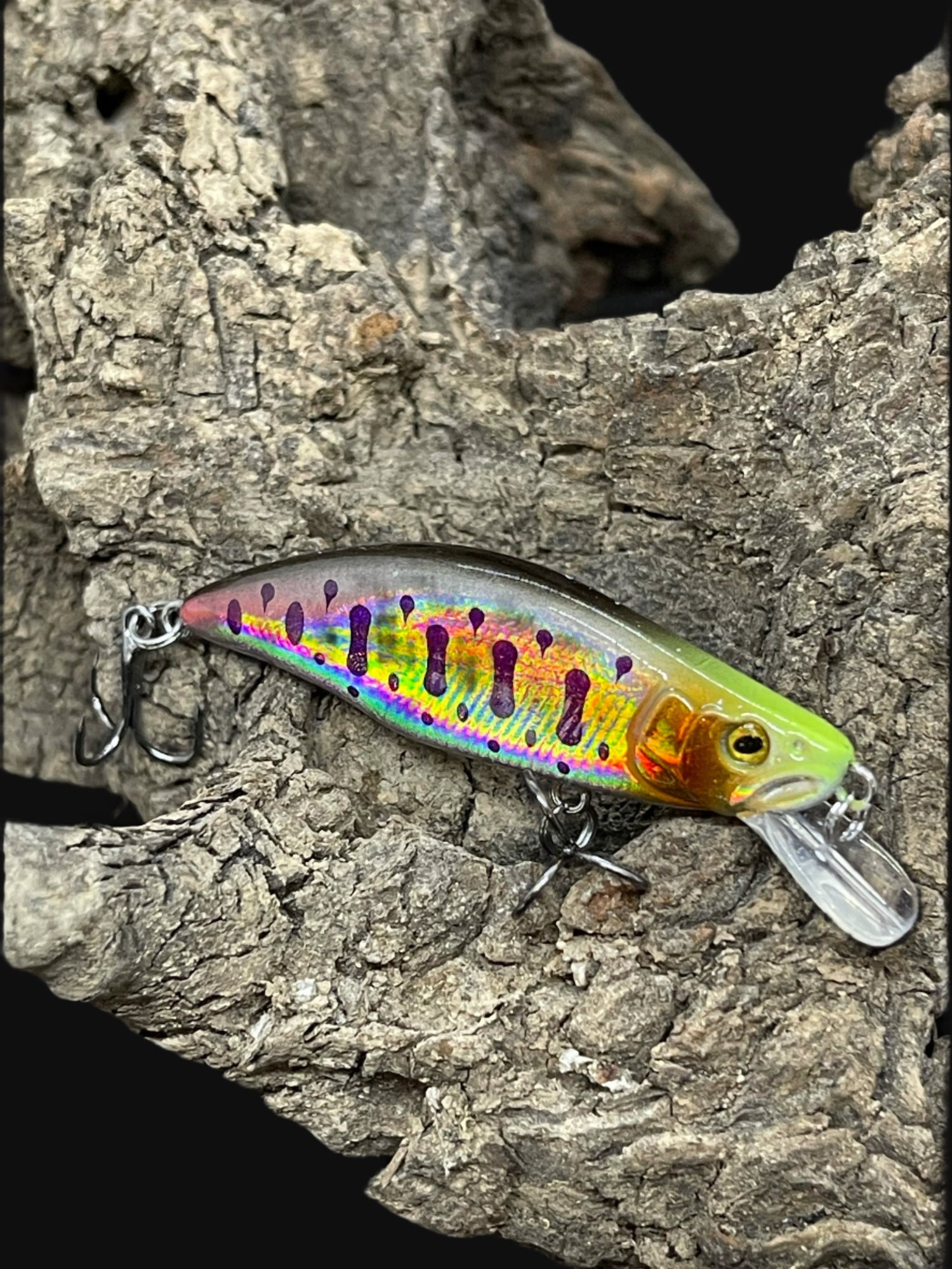 Dartmouth Divers 51mm trout fishing