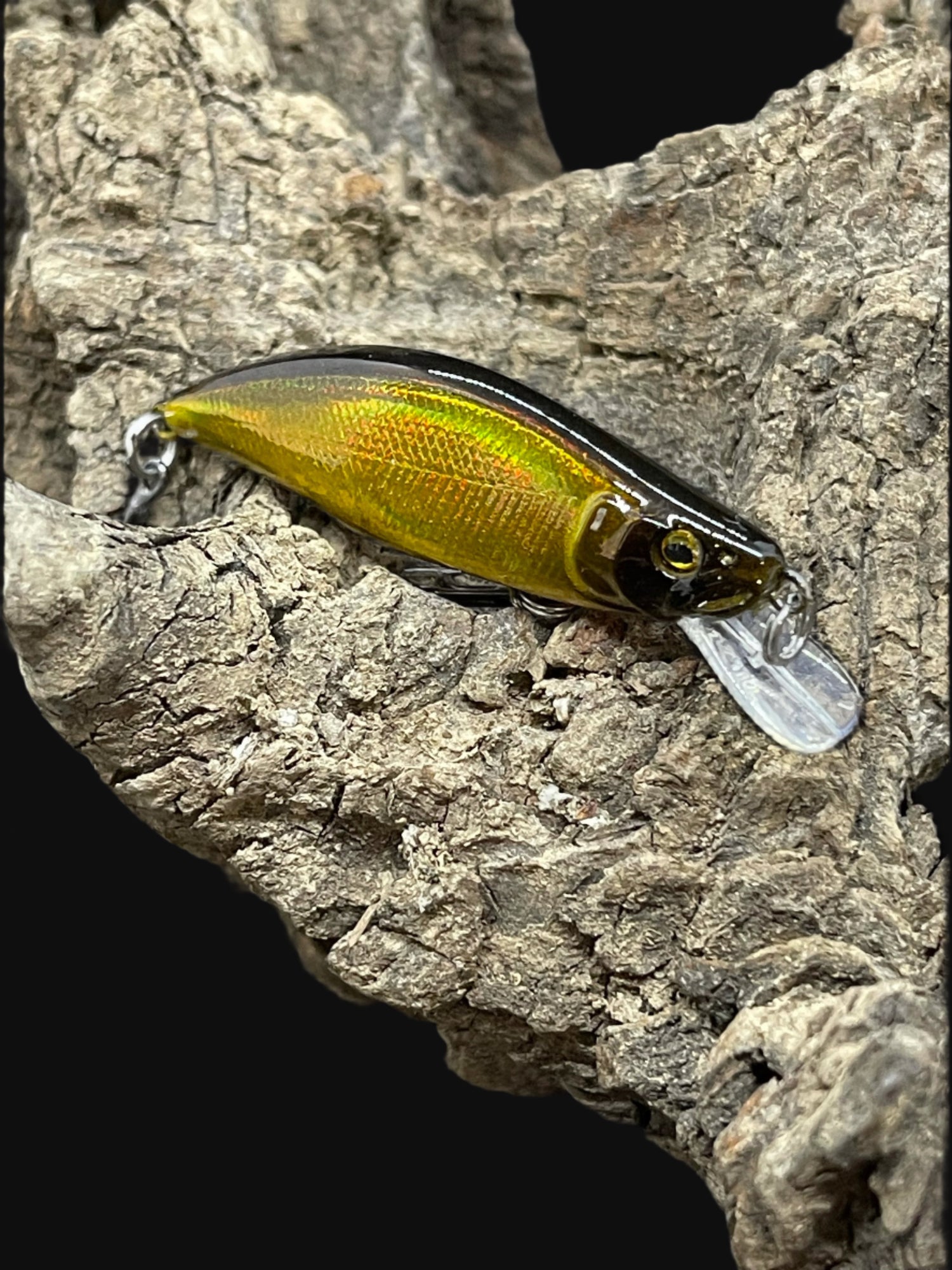 Dartmouth Divers 51mm trout fishing