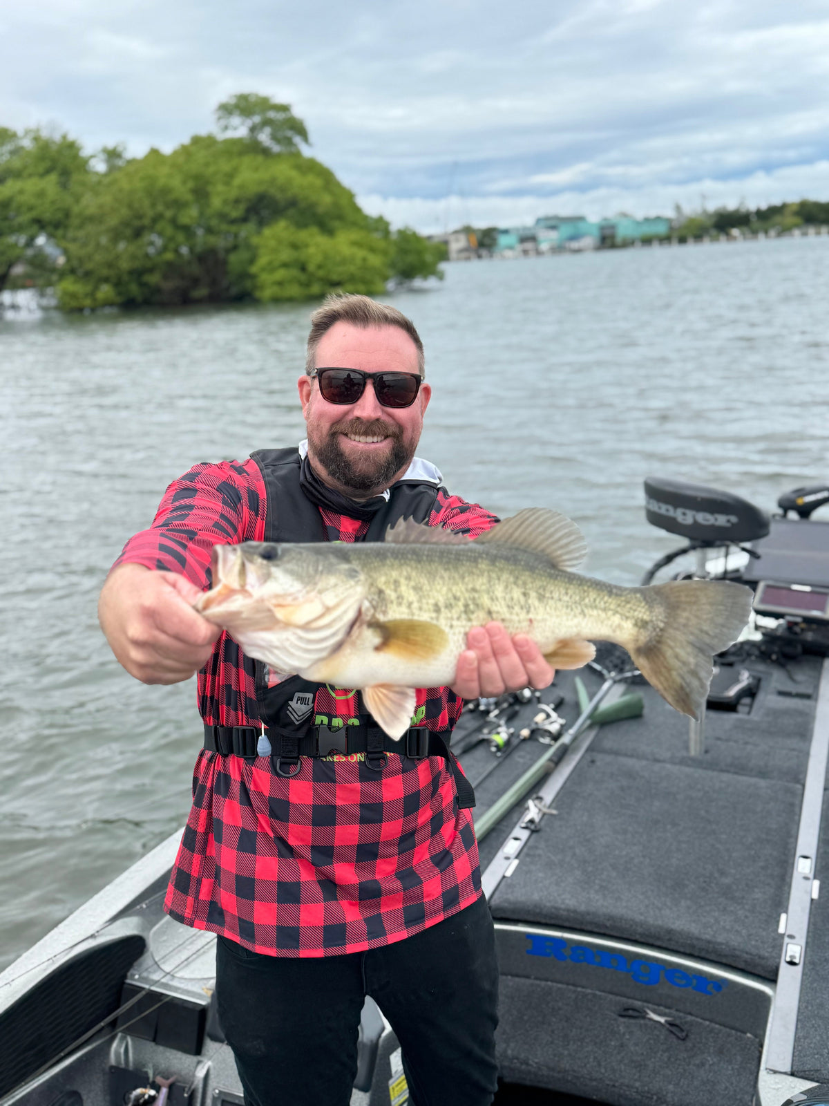 Bass