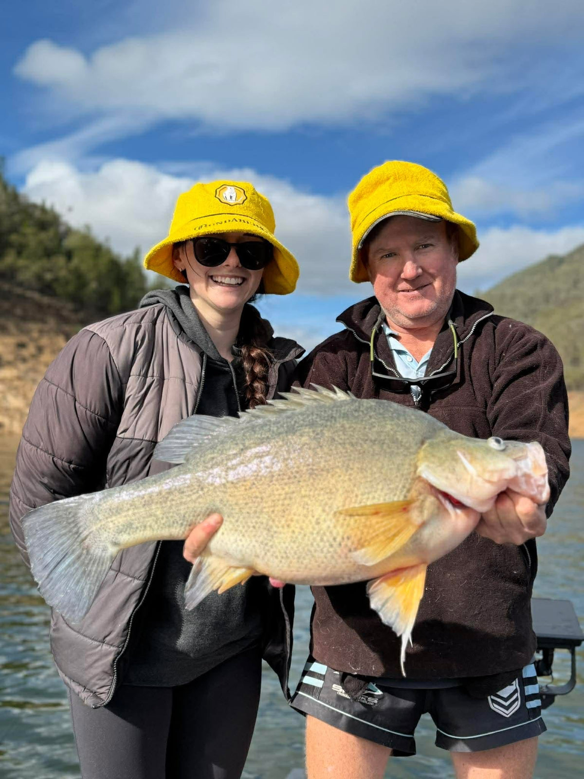 Yellow Belly