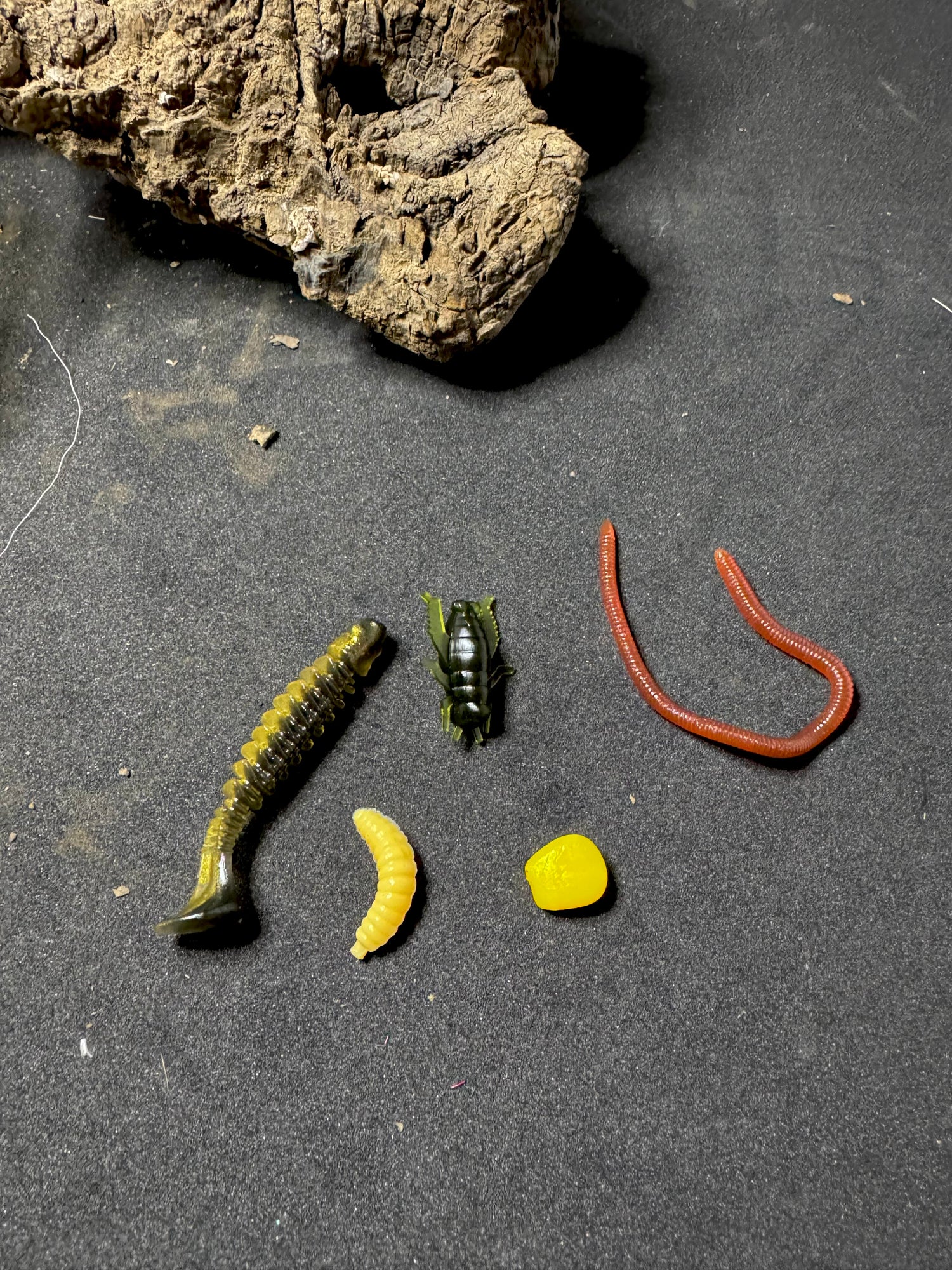 Trout/ Carp Soft Plastic fishing Kit