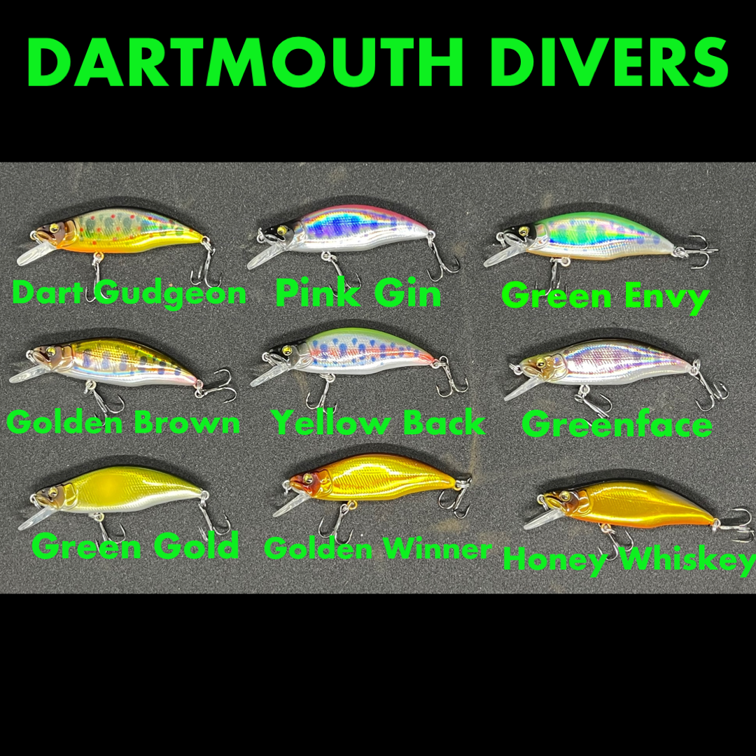 Dart divers and hoodie