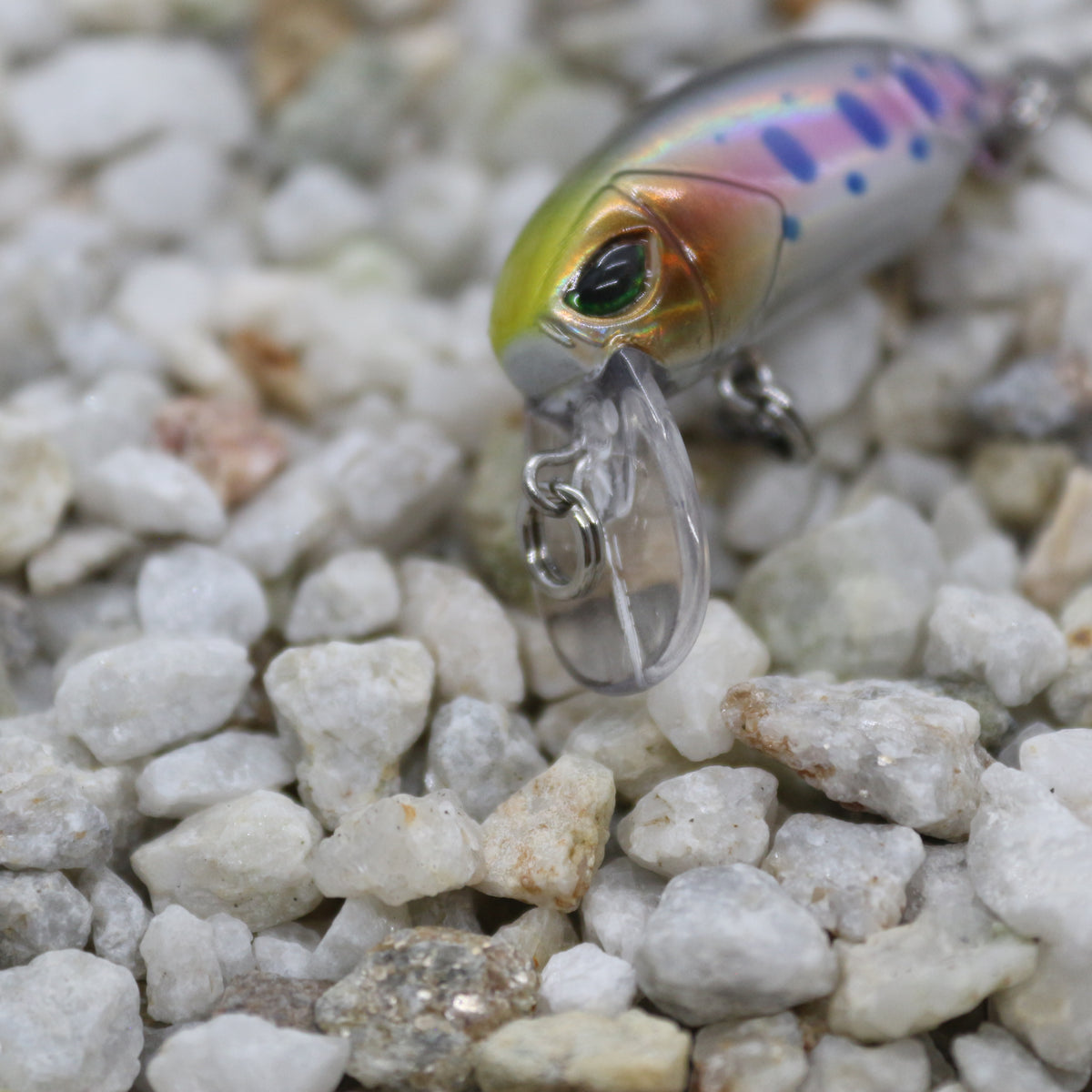 Little Bean 33.6mm Greenface