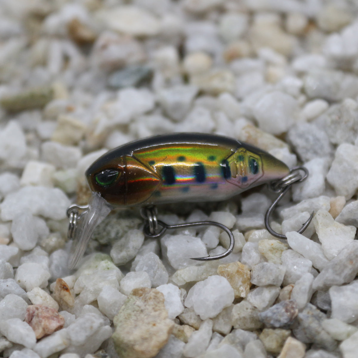 Little Bean 33.6mm Golden Brown