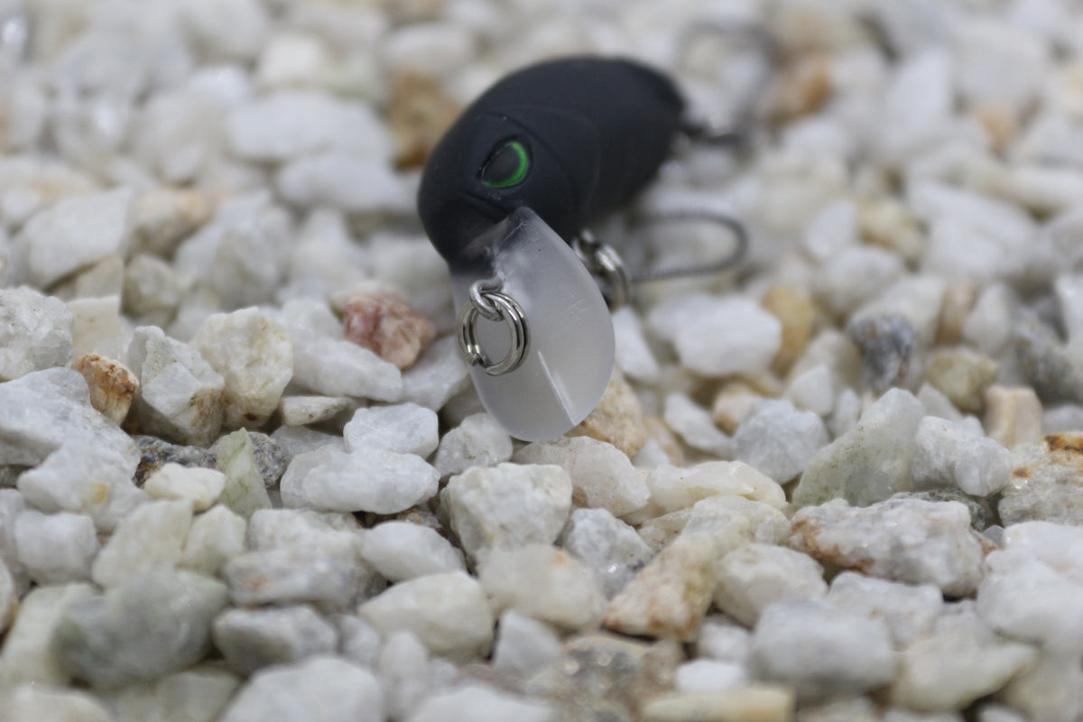 Little Bean 33.6mm The Darkness