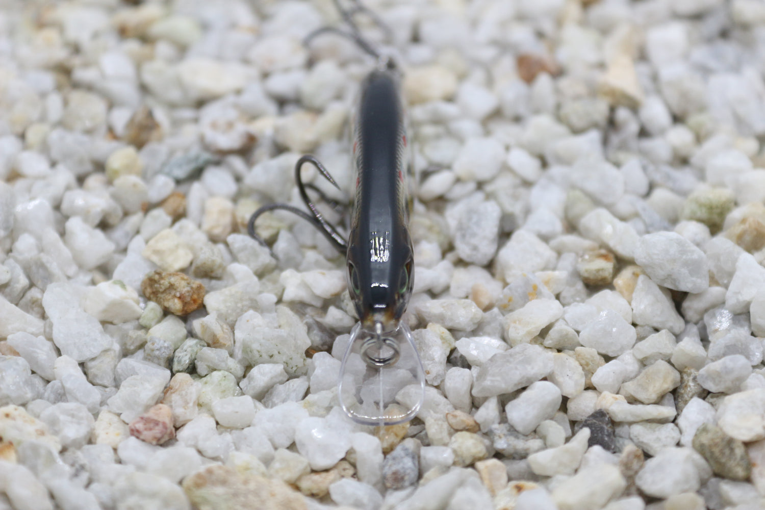 Dartmouth Diver 64mm  Dart Gudgeon
