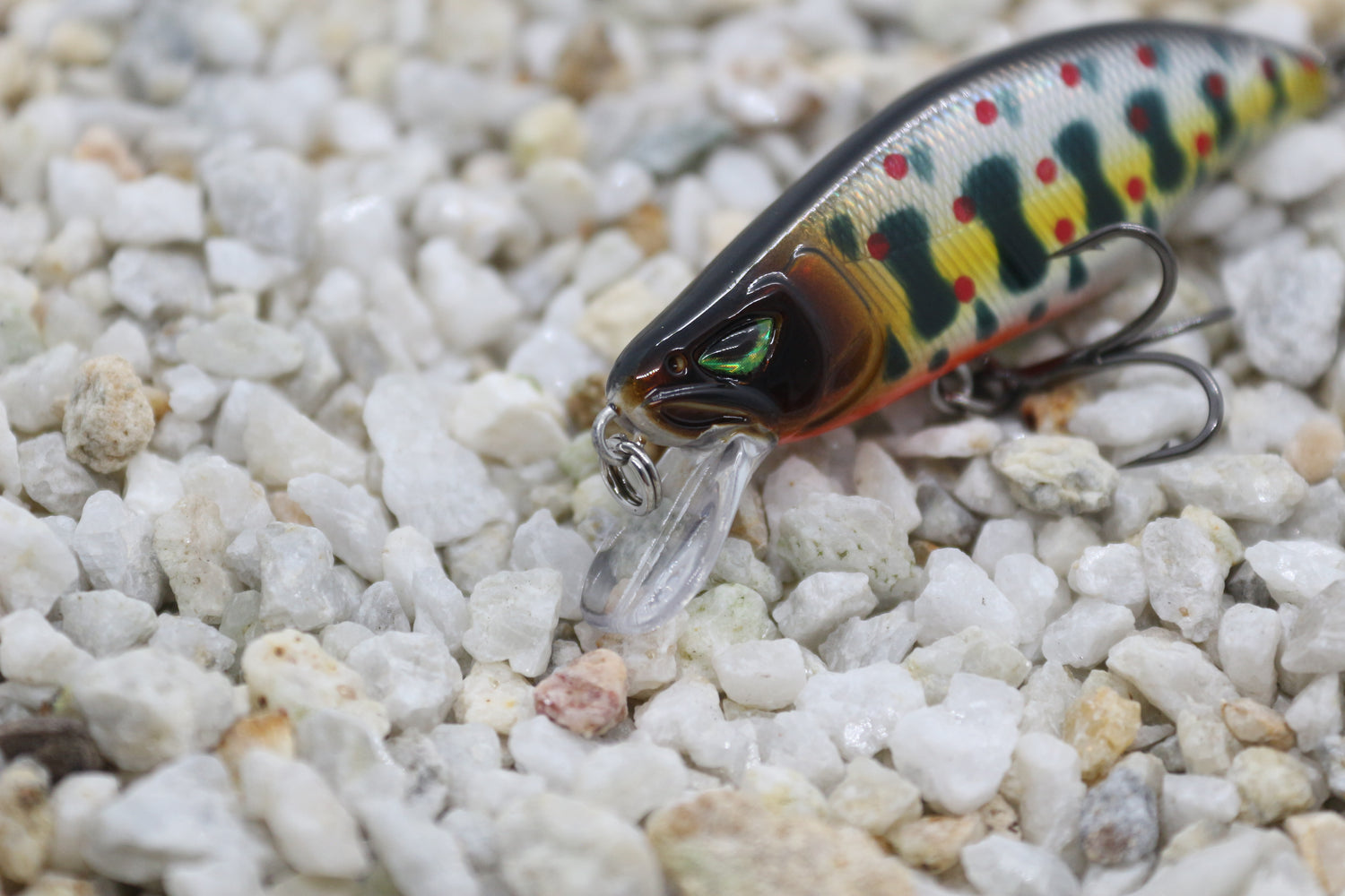 Dartmouth Diver 64mm  Dart Gudgeon