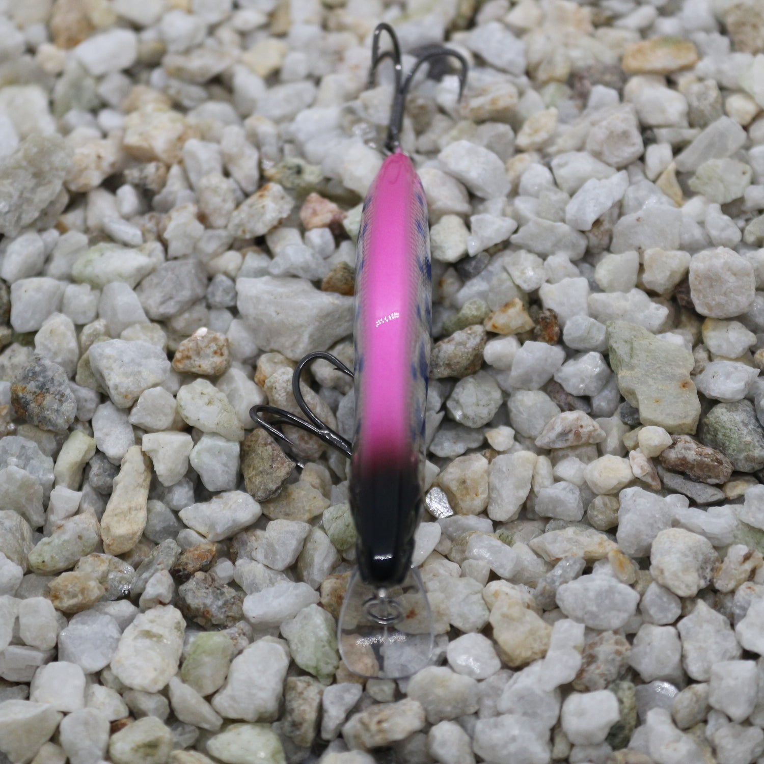 Dartmouth Diver 64mm  Pink Gin