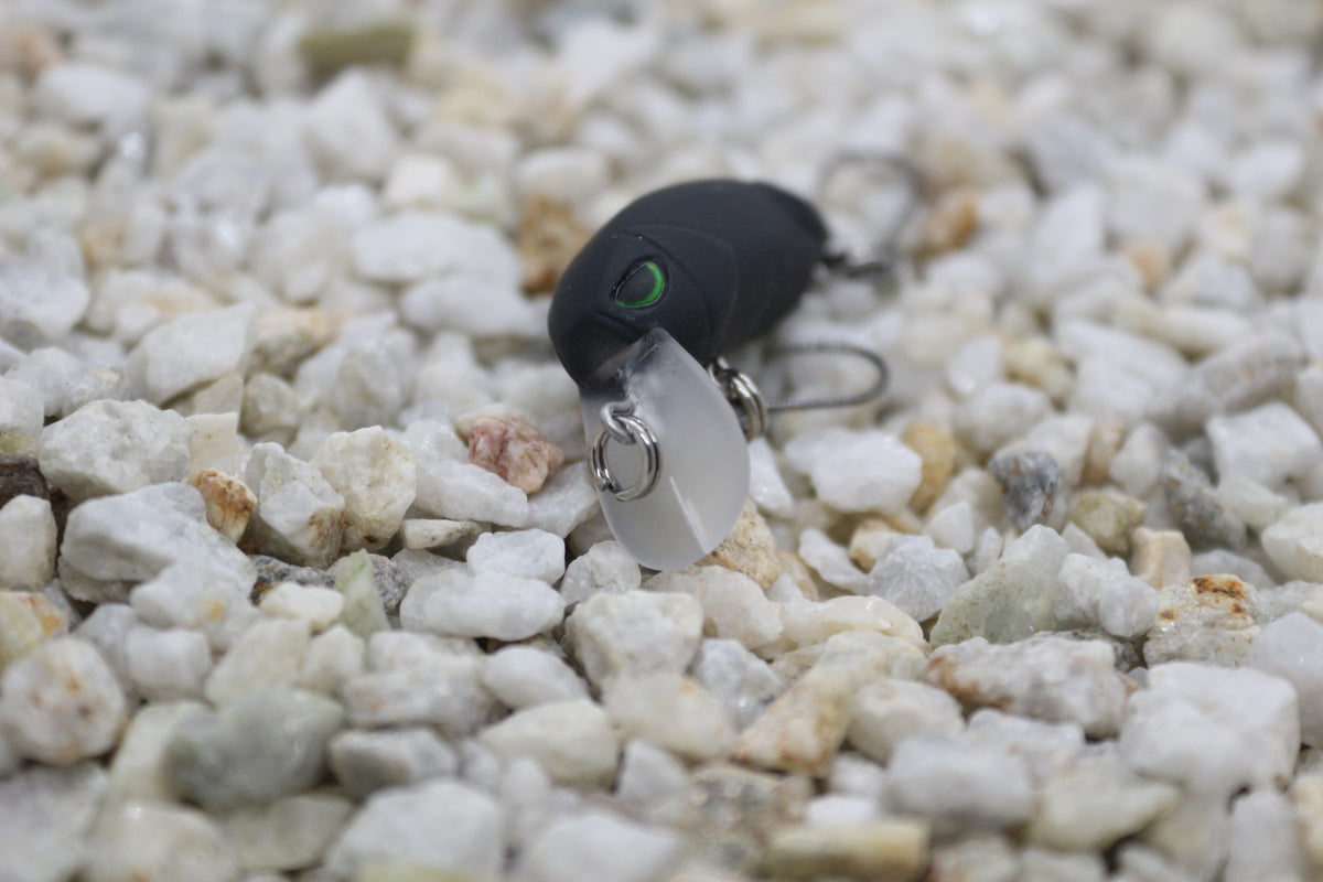 Little Bean 33.6mm The Darkness