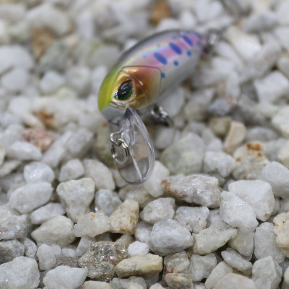 Little Bean 33.6mm Greenface