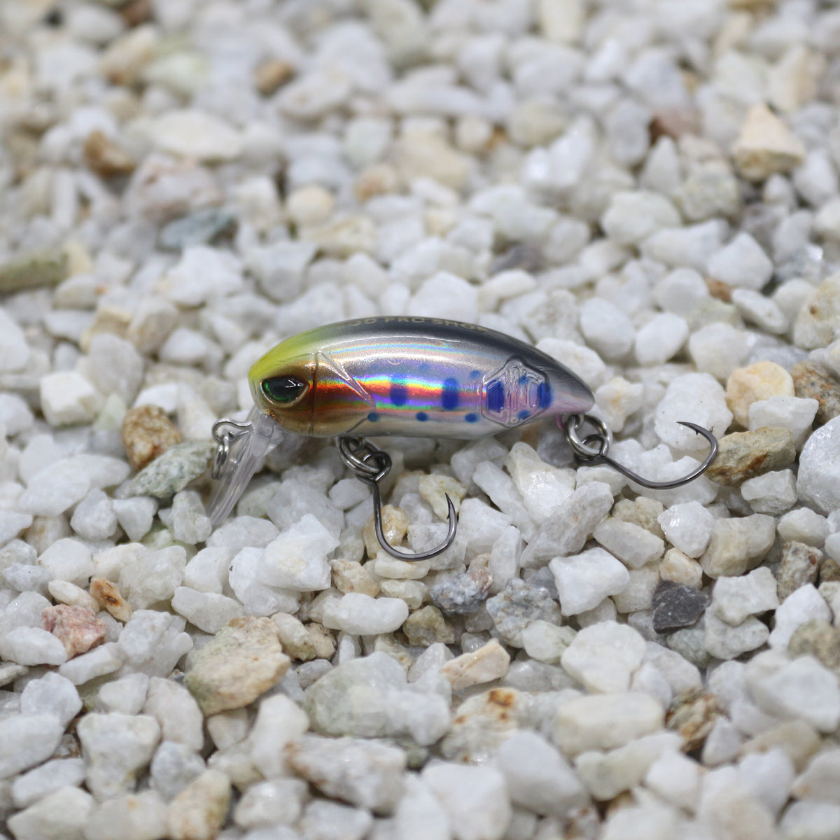 Little Bean 33.6mm Greenface