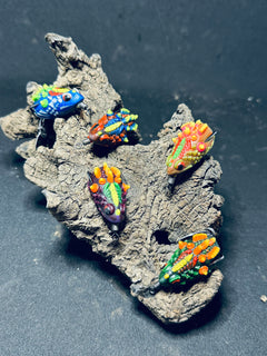A collection of colorful fishing lures designed to resemble frogs, displayed on a piece of driftwood.